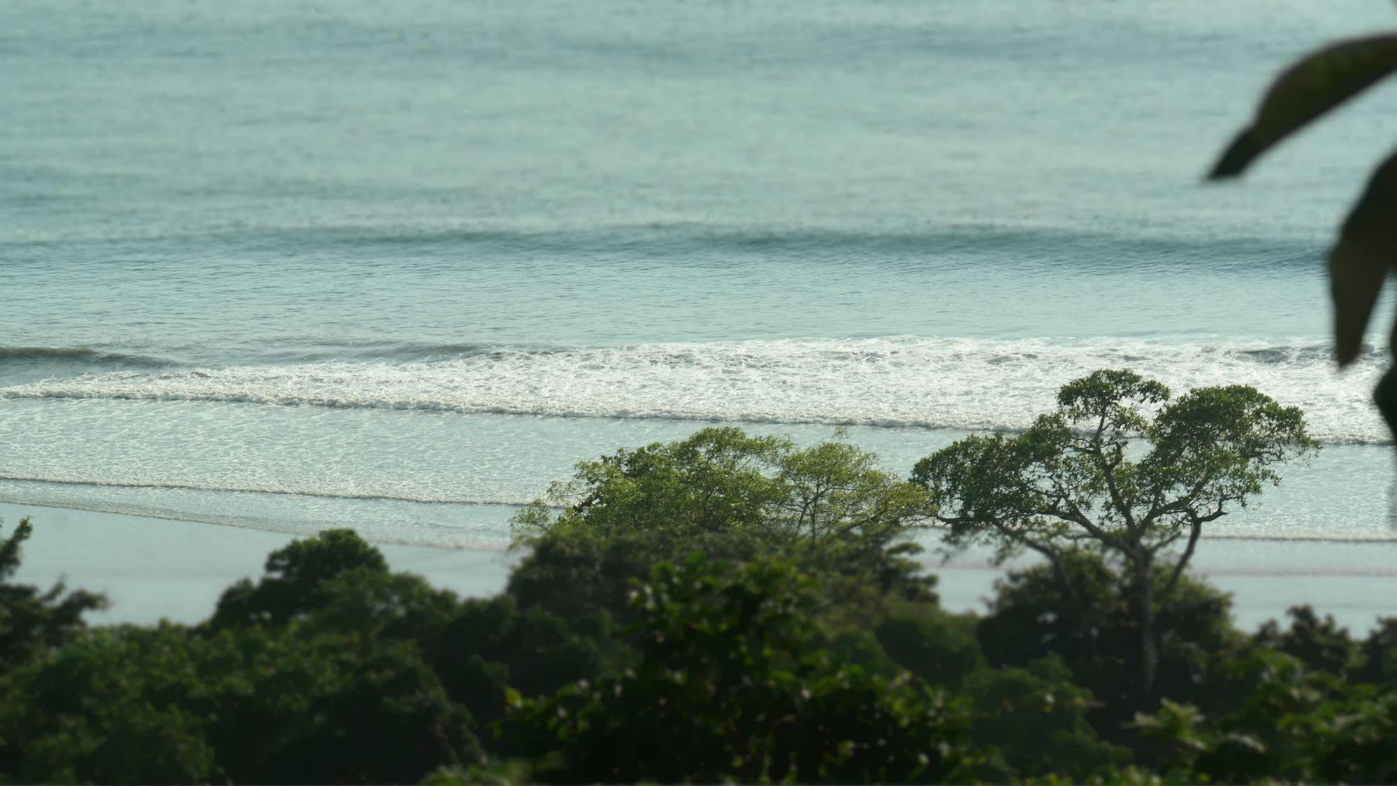 Ranchos Remo Lodge Uvita Dış mekan fotoğraf