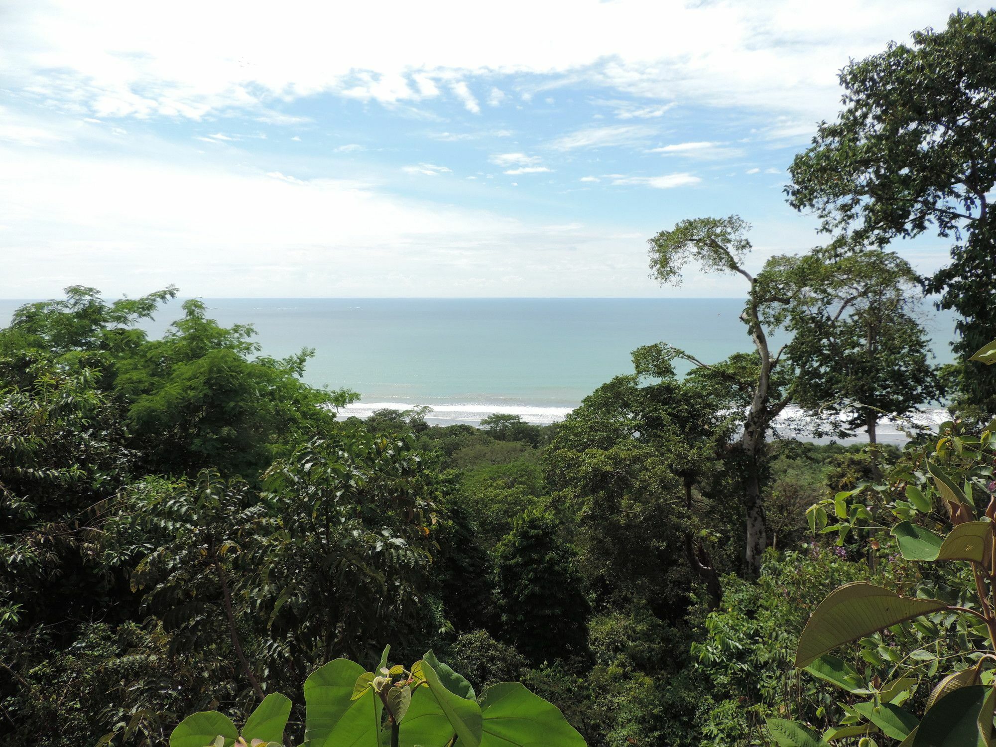 Ranchos Remo Lodge Uvita Dış mekan fotoğraf