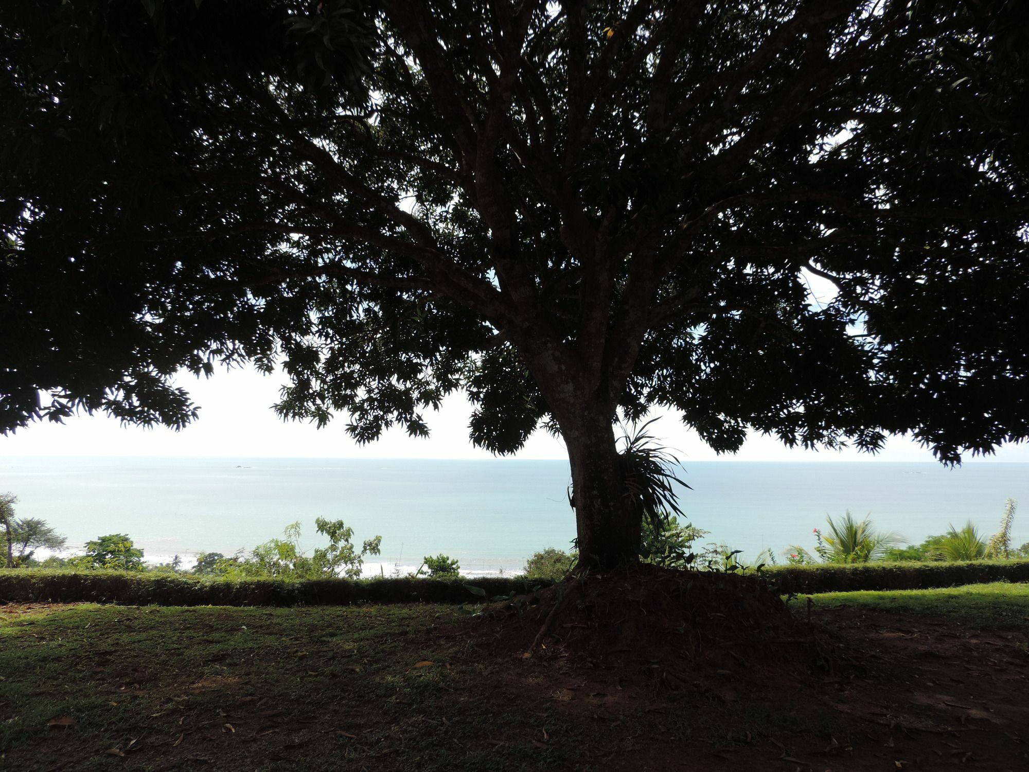 Ranchos Remo Lodge Uvita Dış mekan fotoğraf