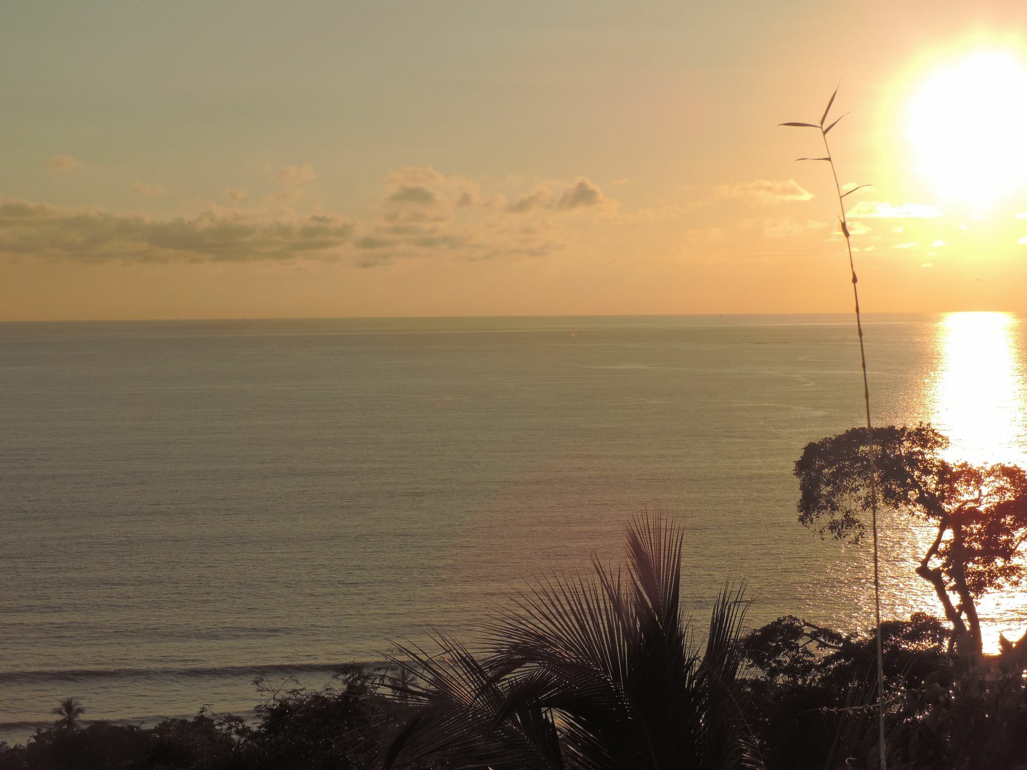 Ranchos Remo Lodge Uvita Dış mekan fotoğraf
